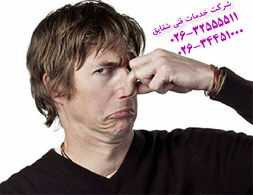 رفع بوی بد فاضلاب در کرج